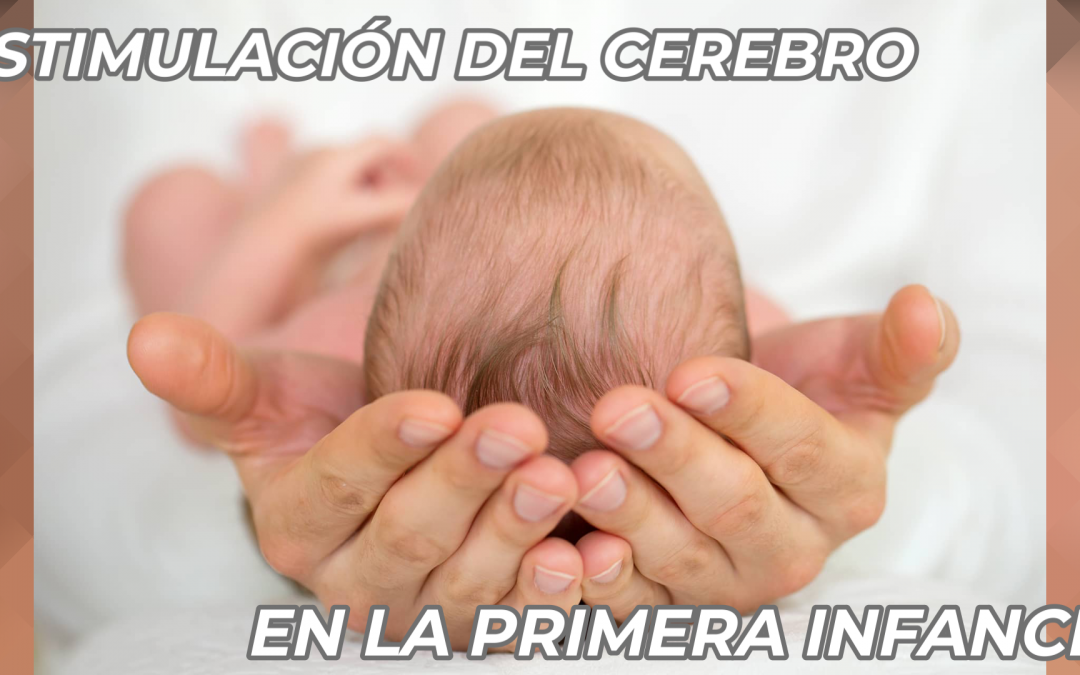 ESTIMULACIÓN DEL CEREBRO EN LA PRIMERA INFANCIA